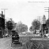 photo - live oak - 1906 or 1907